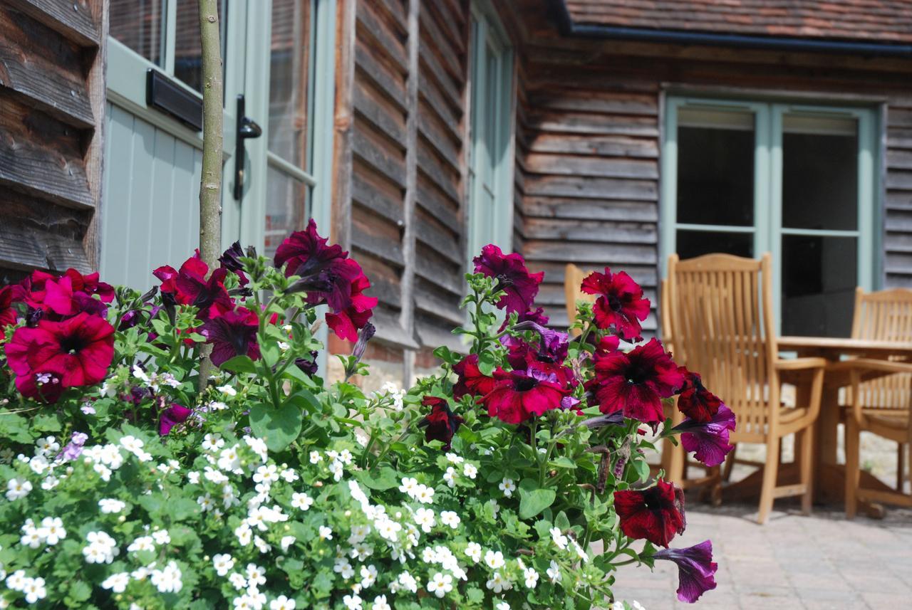 Cowdray Holiday Cottages Midhurst Exterior photo